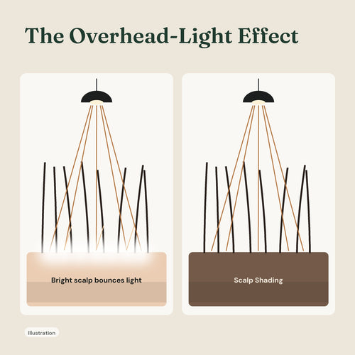 Illustration: light from above bounces off a bright scalp; with Scalp Shading the scalp is tinted and the contrast is softer