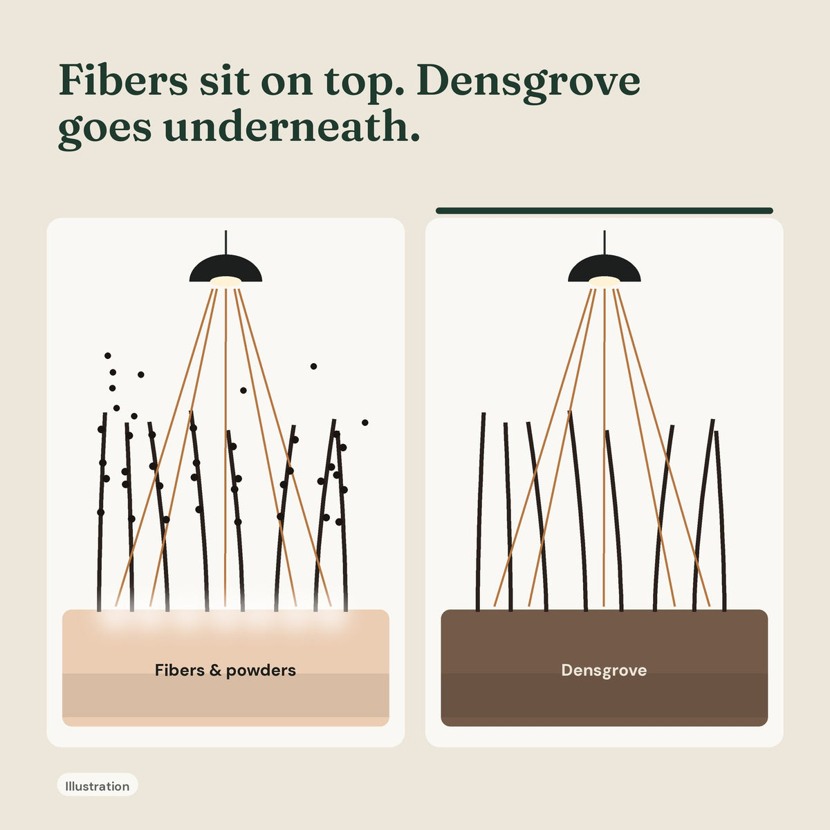 Illustration comparing loose fiber particles on top of the hair with Densgrove tinting the scalp underneath